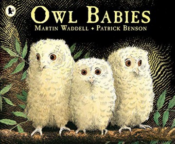 Owl Babies: 1 - Martin Waddell [KSIĄŻKA]