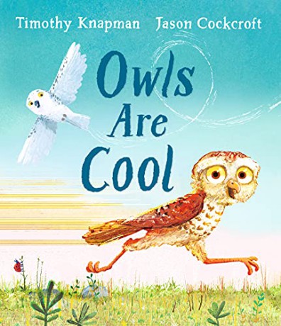 Owls Are Cool: 1 - Timothy Knapman [KSIĄŻKA]