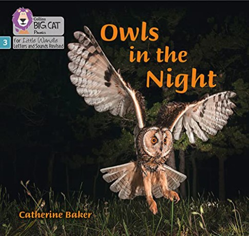 Owls in the Night: Phase 3 Set 2 (Big Cat Phonics for Little Wandle Letters and Sounds Revised) - Catherine Baker [KSIĄŻKA]