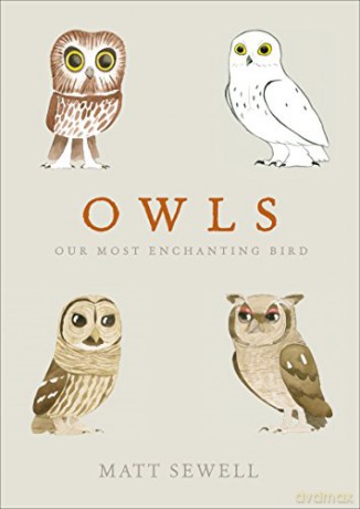 Owls: Our Most Enchanting Bird - Matt Sewell [KSIĄŻKA]
