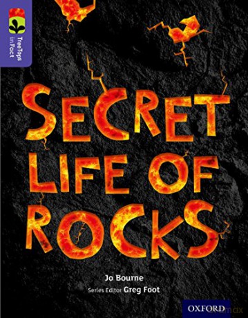 Oxford Reading Tree TreeTops inFact: Level 11: Secret Life of Rocks - Jo Bourne [KSIĄŻKA]