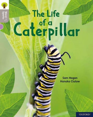 Oxford Reading Tree Word Sparks: Level 1: The Life of a Caterpillar - Sam Hogan [KSIĄŻKA]