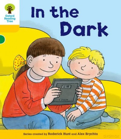Oxford Reading Tree: Decode and Develop More A Level 5: In The Dark - Paul Shipton [KSIĄŻKA]