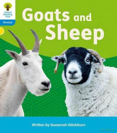 Oxford Reading Tree: Floppy's Phonics Decoding Practice: Oxford Level 3: Goats and Sheep - Suzannah Ditchburn [KSIĄŻKA]