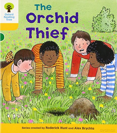 Oxford Reading Tree: Level 5: Decode and Develop The Orchid Thief (Oxford Reading Tree: Biff, Chip and Kipper Decode and Develop) - Rod Hunt [KSIĄŻKA]