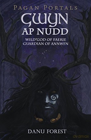 Pagan Portals - Gwyn ap Nudd: Wild god of Faery, Guardian of Annwfn - Danu Forest [KSIĄŻKA]