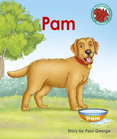 Pam (Red Squirrel Phonics Level 1) - Paul George [KSIĄŻKA]