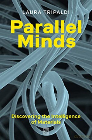Parallel Minds: Discovering the Intelligence of Materials - Laura Tripaldi [KSIĄŻKA]