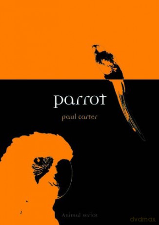 Parrot (Animal Series) - Paul Carter [KSIĄŻKA]