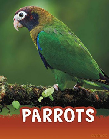 Parrots (Animals) - Mari Schuh [KSIĄŻKA]