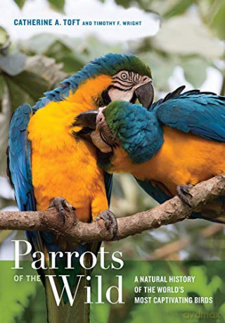 Parrots of the Wild: A Natural History of the World's Most Captivating Birds - Ca Toft [KSIĄŻKA]