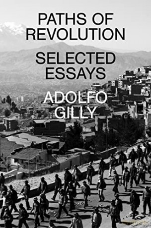 Paths of Revolution: Selected Essays - Adolfo Gilly [KSIĄŻKA]