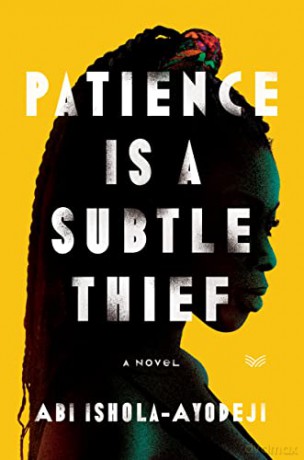 Patience Is a Subtle Thief: A Novel - Abi Ishola-Ayodeji [KSIĄŻKA]
