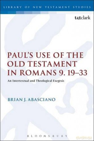 Paul's Use of the Old Testament in Romans 9.19-33: An Intertextual and Theological Exegesis (Library of New Testament Studies) - Brian J Abasciano [KSIĄŻKA]