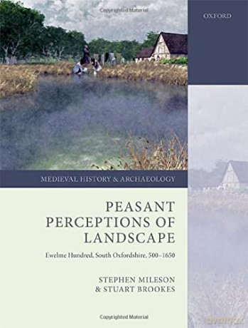 Peasant Perceptions of Landscape: Ewelme Hundred, South Oxfordshire, 500-1650 (Medieval History and Archaeology) - Stuart Brookes [KSIĄŻKA]