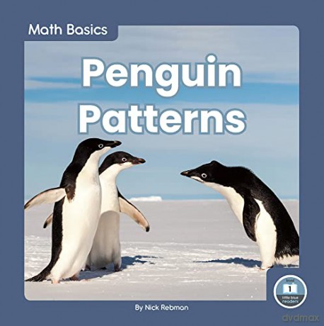 Penguin Patterns (9781646191635) - Nick Rebman [KSIĄŻKA]