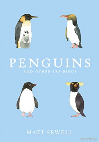 Penguins and Other Sea Birds - Matt Sewell [KSIĄŻKA]