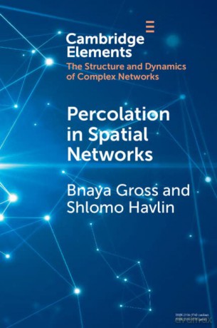 Percolation in Spatial Networks: Spatial Network Models Beyond Nearest Neighbours Structures (Elements in Structure and Dynamics of Complex Networks) - Bnaya Gross [KSIĄŻKA]