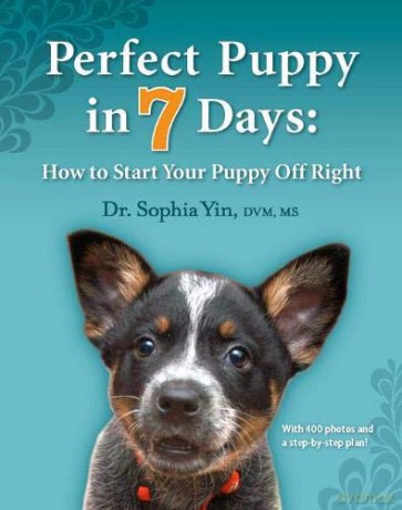 Perfect Puppy in 7 Days: How to Start Your Puppy Off Right - Sophia Yin [KSIĄŻKA]