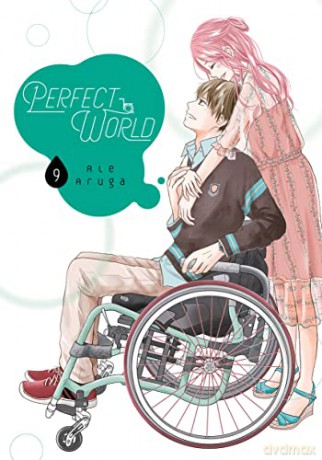 Perfect World 9 - Rie Aruga [KSIĄŻKA]