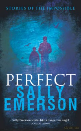 Perfect, Stories of the Impossible - Sally Emerson [KSIĄŻKA]