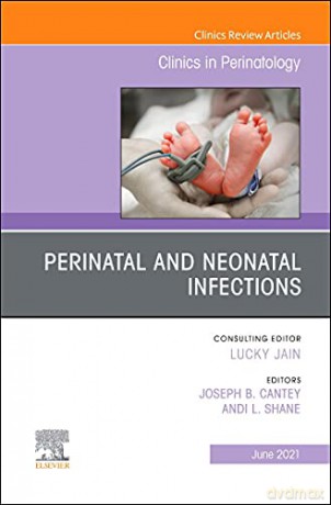 Perinatal and Neonatal Infections, An Issue of Clinics in Perinatology (Volume 48-2) (The Clinics: Orthopedics, Volume 48-2) - Joseph B. Cantey [KSIĄŻKA]