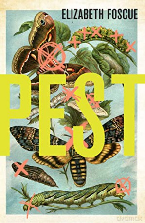 Pest - Elizabeth Foscue [KSIĄŻKA]