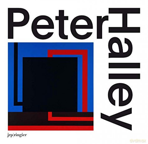 Peter Halley: The Complete 1980s Paintings - Piper Marshall [KSIĄŻKA]