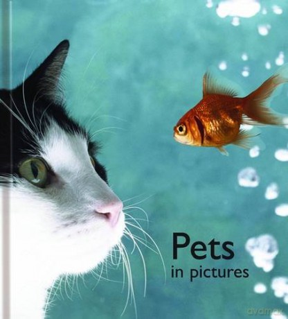 Pets in Pictures (Pictures to Share) - Helen Bate [KSIĄŻKA]