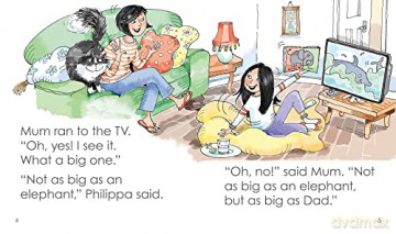 Philippa and the dolphin (Red Squirrel Phonics Level 6) - Kath Beattie [KSIĄŻKA]