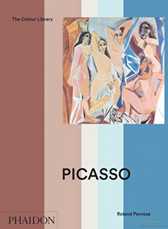 Picasso: Colour Library - David Lomas [KSIĄŻKA]