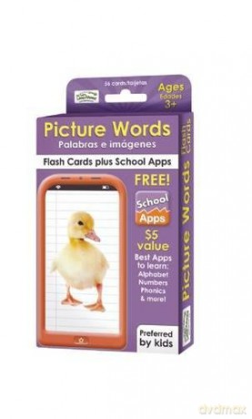 Picture Words Flash Cards (Let's Leap Ahead) - Alex A. Lluch [KSIĄŻKA]