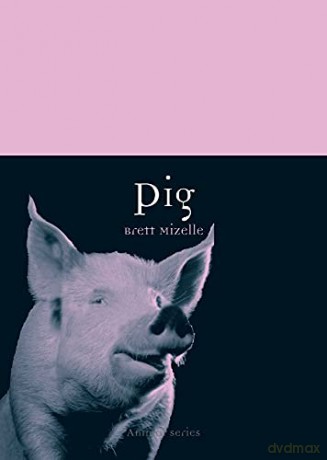 Pig (Animal) (Animal Series) - Brett Mizelle [KSIĄŻKA]