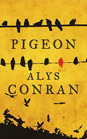 Pigeon - Alys Conran [KSIĄŻKA]