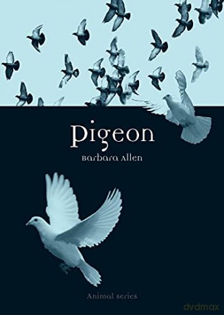 Pigeon (Animal) (Animal Series) - Barbara Allen [KSIĄŻKA]