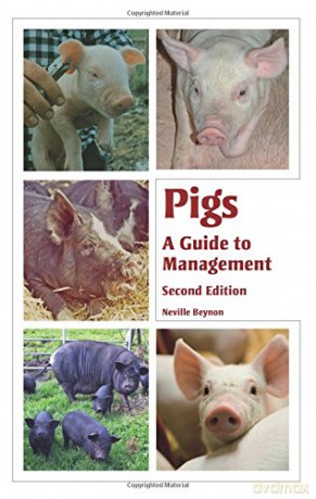 Pigs: A Guide to Management - Second Edition - Neville Beynon [KSIĄŻKA]