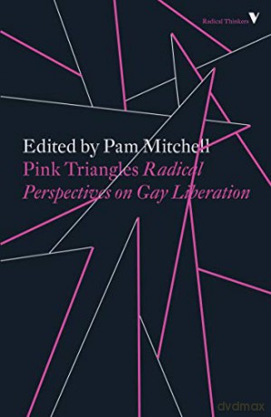 Pink Triangles: Radical Perspectives on Gay Liberation (Radical Thinkers) - Pam Mitchell [KSIĄŻKA]