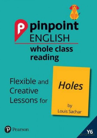 Pinpoint English Whole Class Reading Y6: Holes: Flexible and Creative Lessons for Holes (by Louis Sachar) - Rachel Axten-Higgs [KSIĄŻKA]