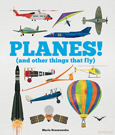 Planes! (Planes! (and Other Things that Fly)) - Bryony Davies [KSIĄŻKA]