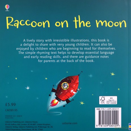 Raccoon on the Moon (Phonics Readers) - Russell Punter [KSIĄŻKA]