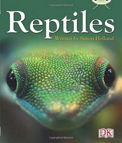 Reptiles - Simon Holland [KSIĄŻKA]