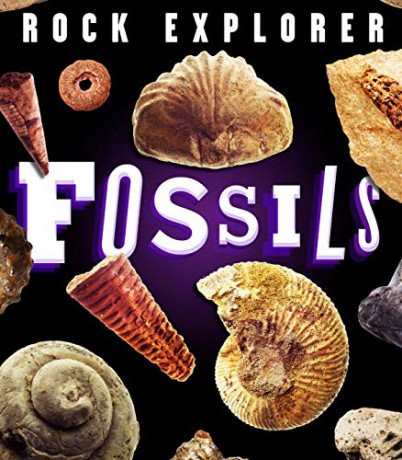 Rock Explorer: Fossils: 1 - Claudia Martin [KSIĄŻKA]