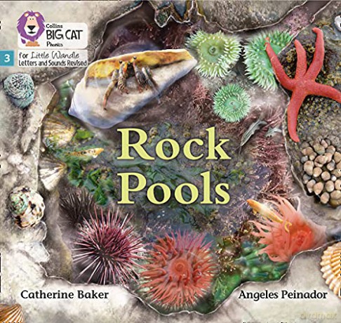 Rock Pools: Phase 3 Set 1 (Big Cat Phonics for Little Wandle Letters and Sounds Revised) - Catherine Baker [KSIĄŻKA]