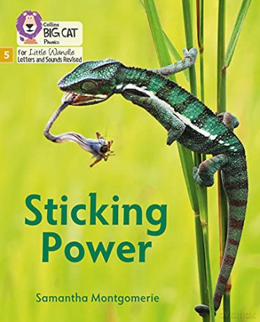 Sticking Power: Phase 5 Set 1 (Big Cat Phonics for Little Wandle Letters and Sounds Revised) - Samantha Montgomerie [KSIĄŻKA]