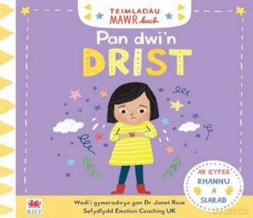 Teimladau Mawr Bach: Pan Dwi'n Drist - Dr Janet Rose [KSIĄŻKA]