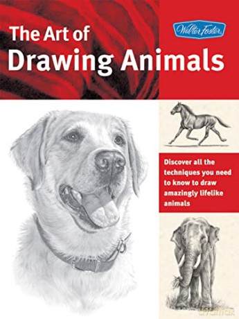 The Art of Drawing Animals: Discover All the Techniques You Need to Know to Draw Amazingly Lifelike Animals (Collectoraes) (Collector's) - Patricia Getha [KSIĄŻKA]