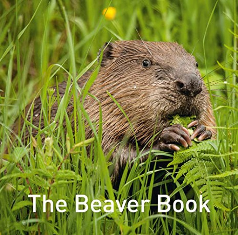 The Beaver Book (Nature Book Series) - Hugh Warwick [KSIĄŻKA]