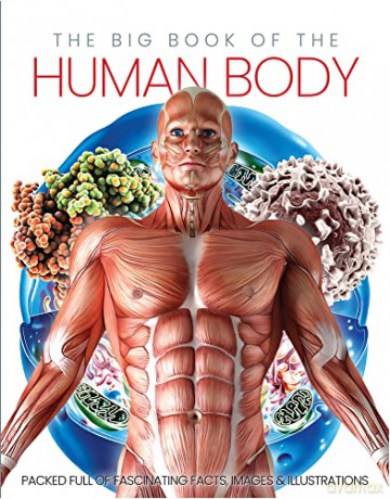 The Big Book Of The Human Body - Katherine Marsh [KSIĄŻKA]