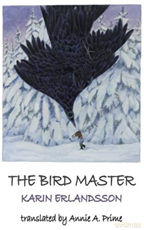 The Bird Master: 2 (Song of the Eye Stone) - Karin Erlandsson [KSIĄŻKA]