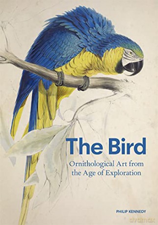 The Bird: The Great Age of Avian Illustration - Philip Kennedy [KSIĄŻKA]